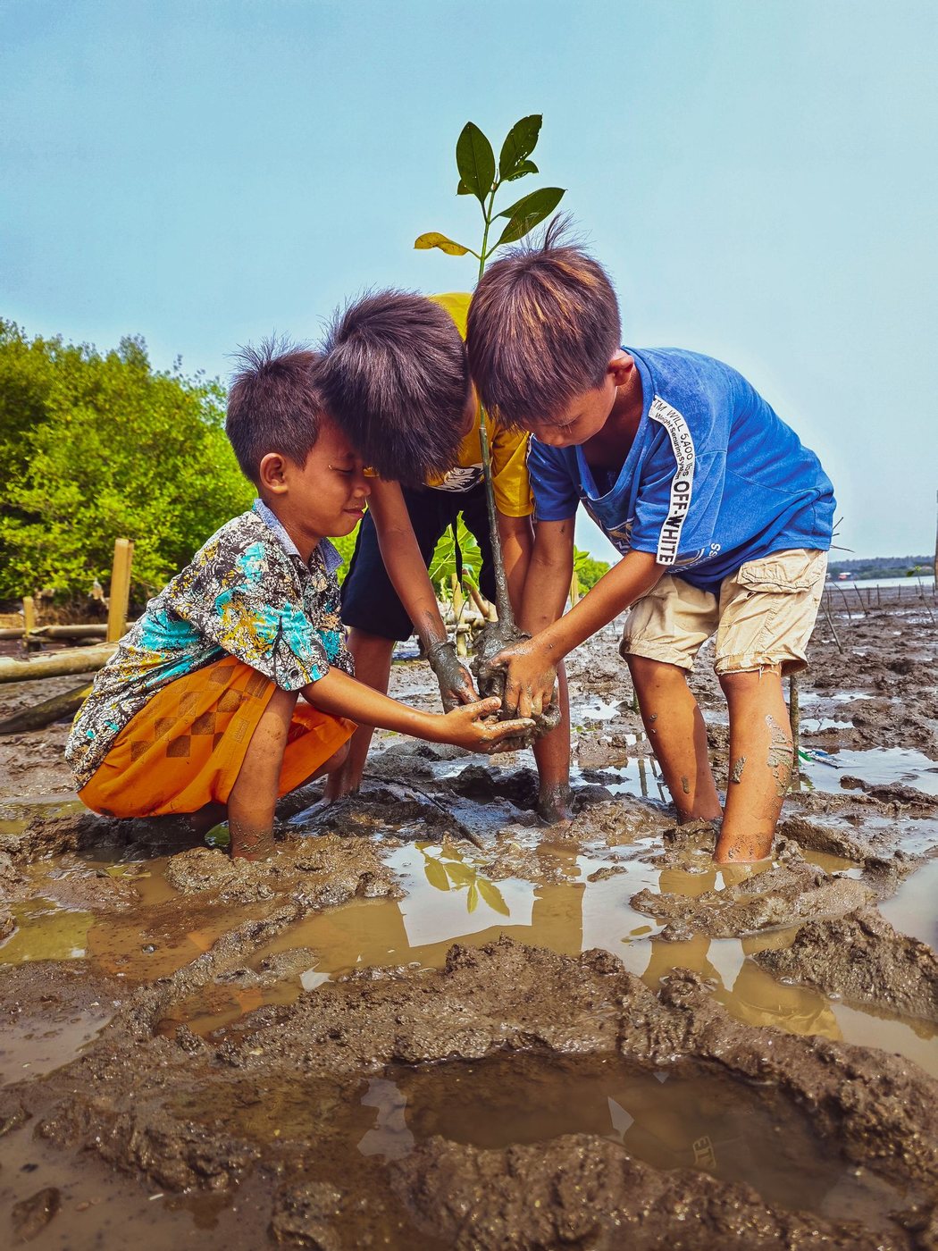 Children planting a sapling together